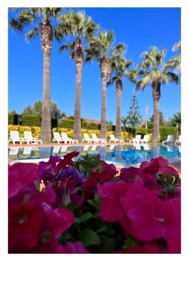 Villa Laura Residence Hotel Apartments & Studios Ascea Exteriér fotografie